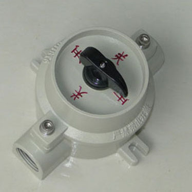 ���������_�P(gu��n)